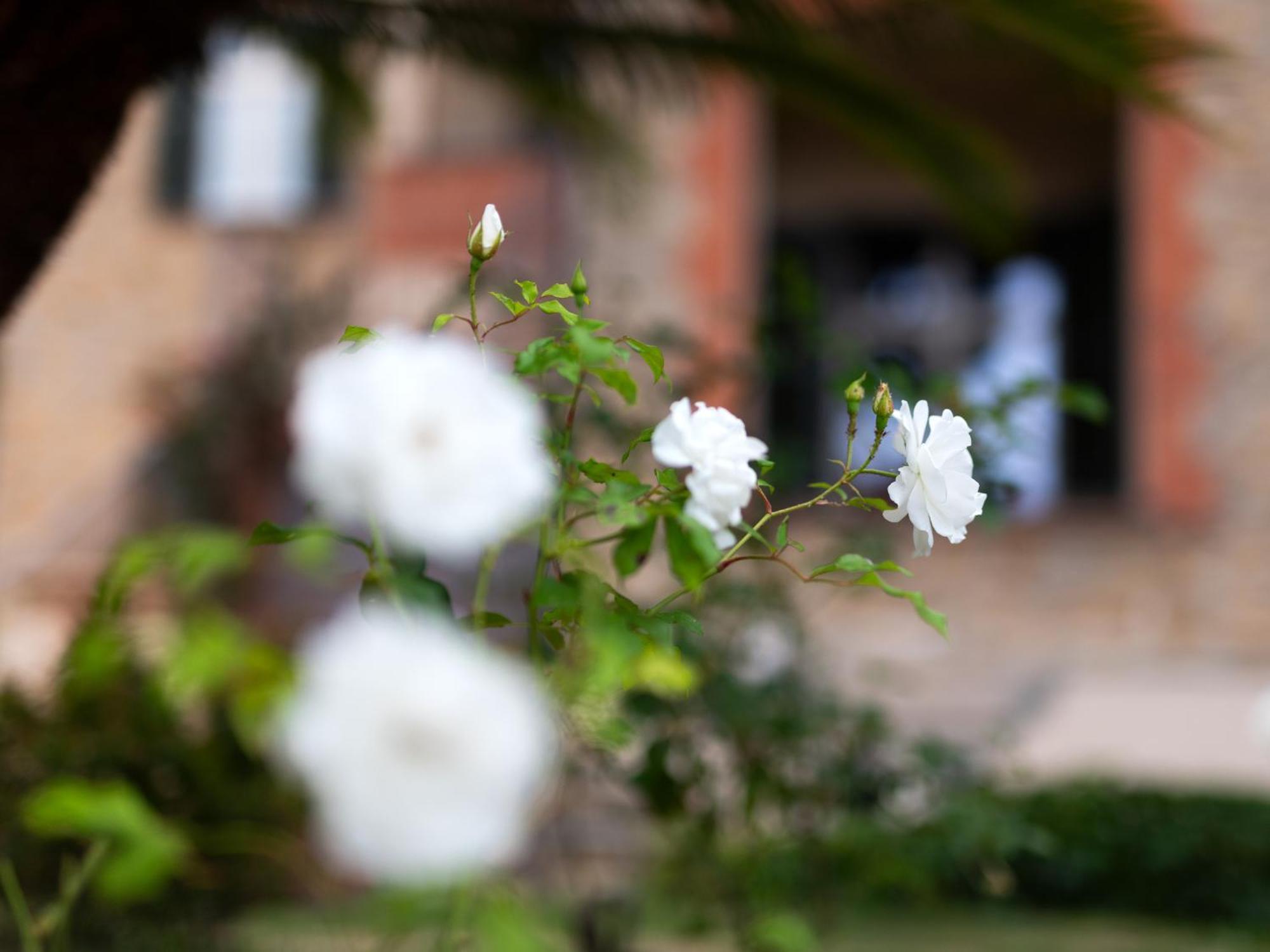 Villa Rappis Imperia Exterior foto