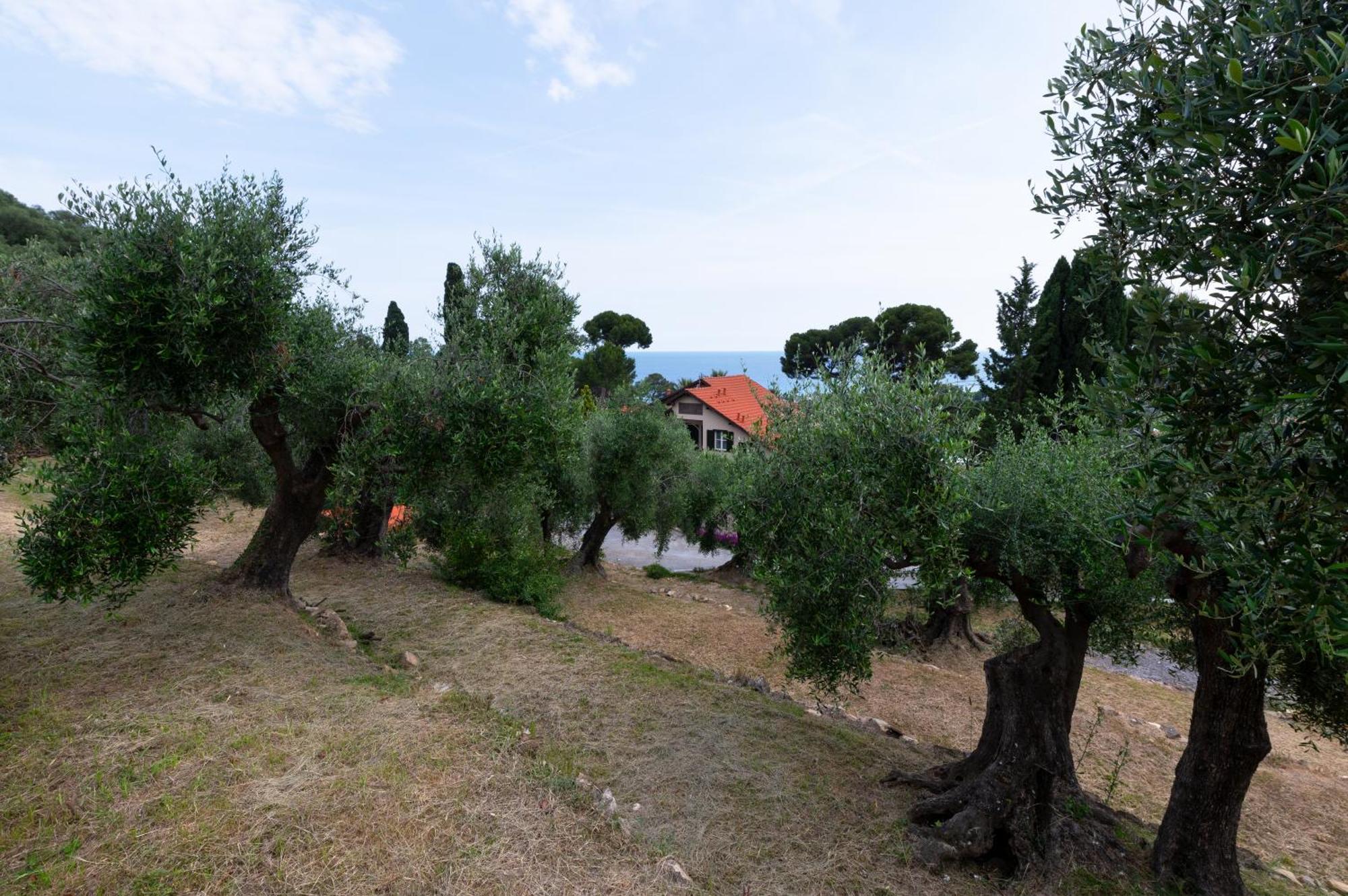 Villa Rappis Imperia Exterior foto
